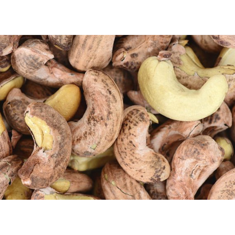 Hạt điều rang muối size A cồ