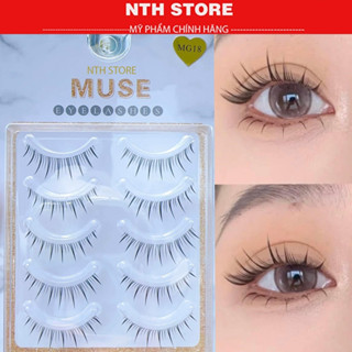 Lông Mi Giả Gân Trong, Mi Gân Trong MUSE , Mi Gân Apex Cao Cấp