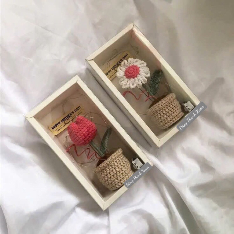 Hộp quà hoa móc len Tulip hồng, cúc trắng