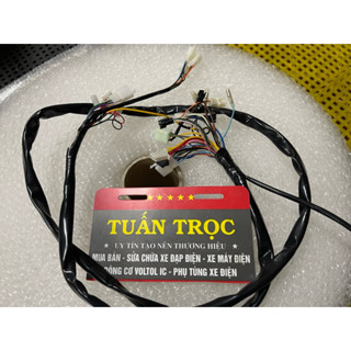 Dây tổng xe điện 133 fix nguồn 12v, fix cho  fz v2 và fix sẵn dây chịu nhiệt.( Không có dây cấp nguồn ắc quy )