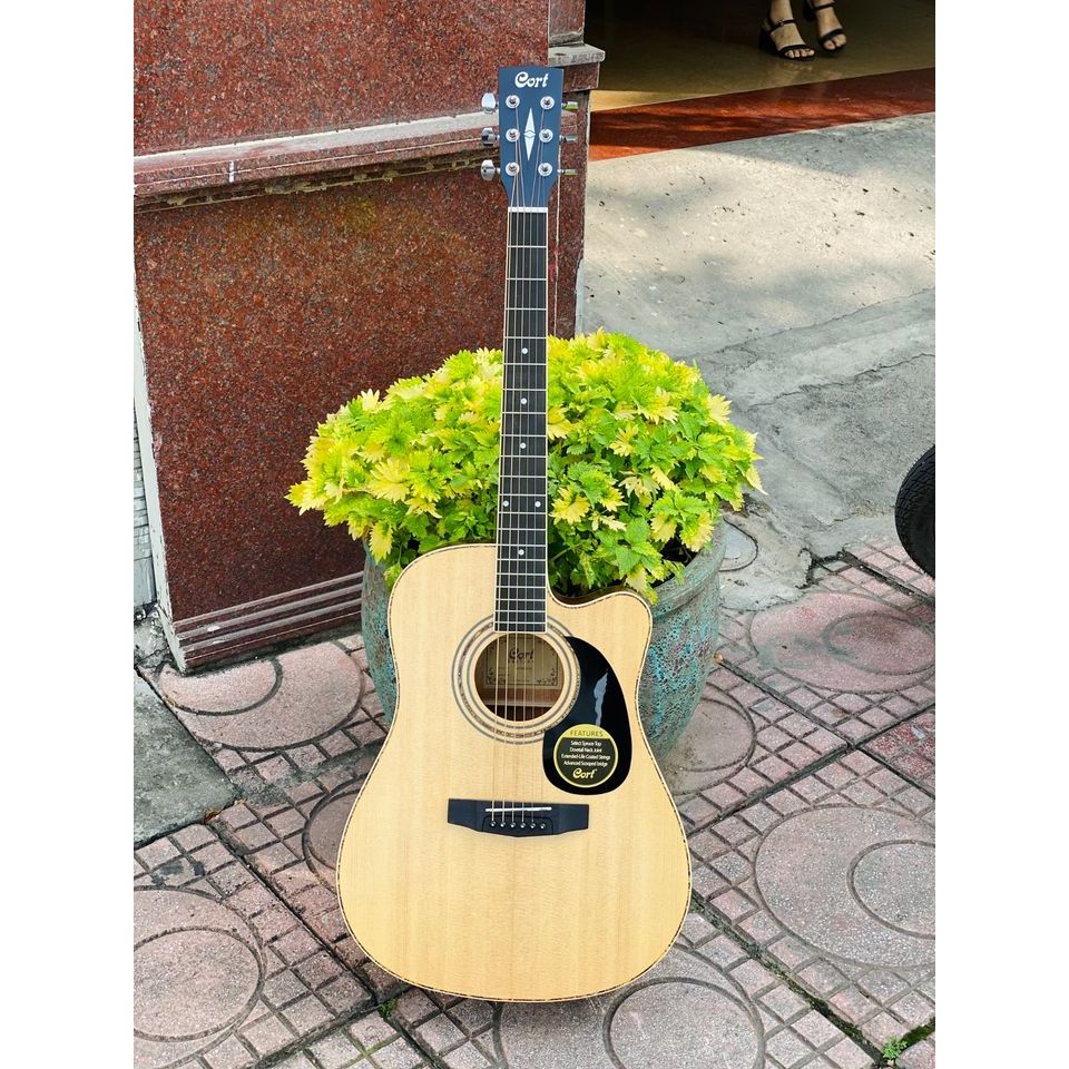 Guitar Acoustic Cort AD880CE (tặng kèm phụ kiện)