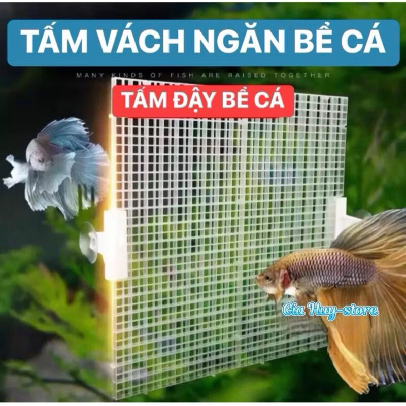 Vách ngăn bể cá | tấm nhựa đậy mặt hồ cá 30x30 15x30 cm có thể nối ghép