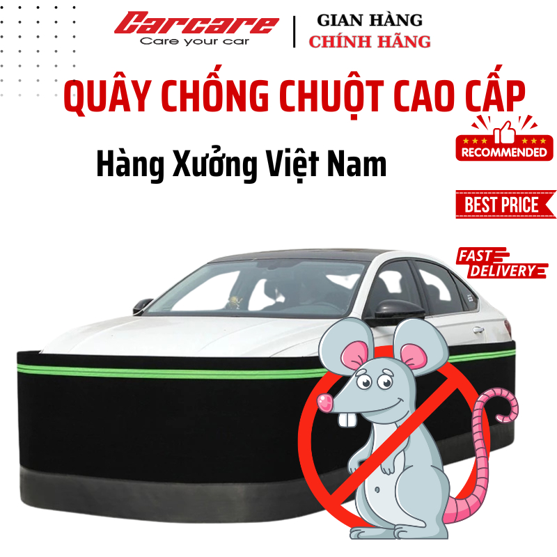 Gợi ý các mẫu tấm chống chuột xe ô tô chất lượng hiện nay