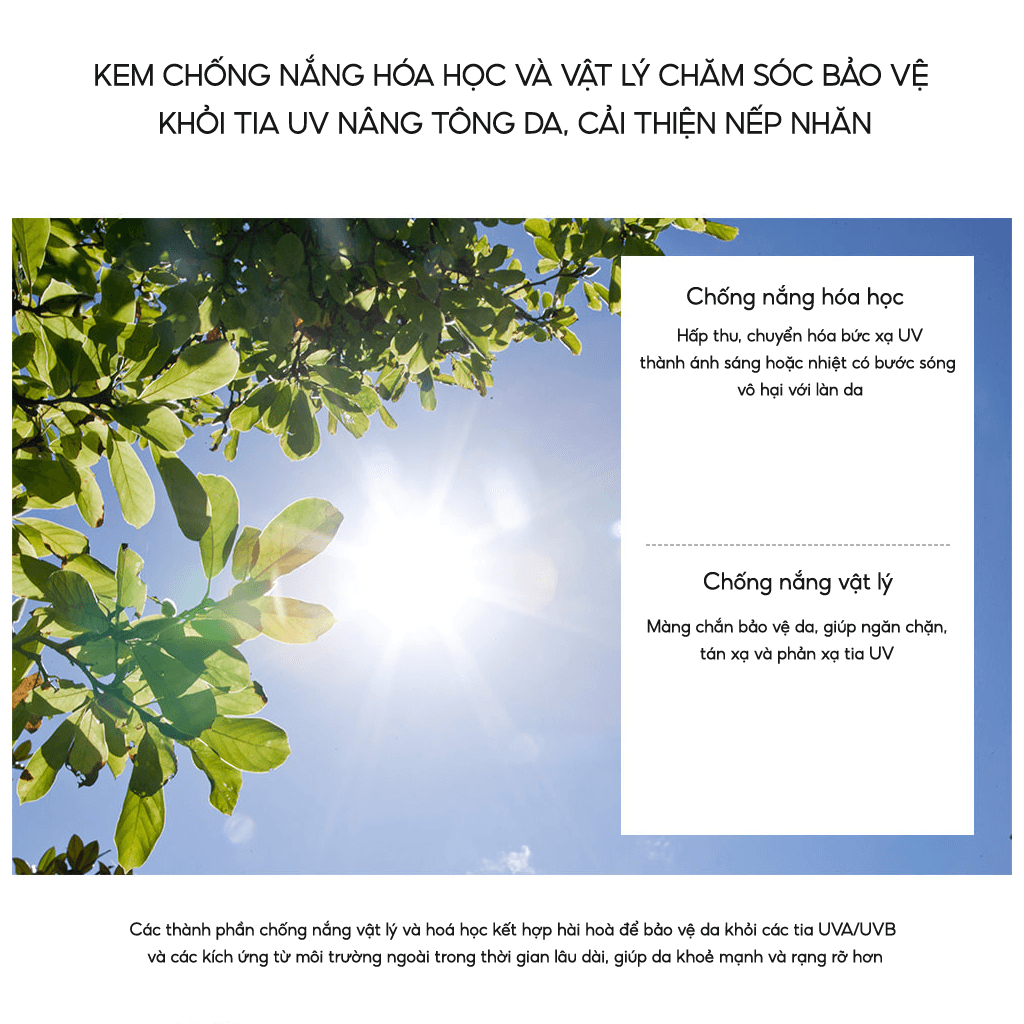 Kem Chống Nắng Nâng Tone the SAEM Eco Earth Sun Cream 50g cho da Hỗn hợp (Mẫu mới)