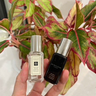 [Sephora US] Nước hoa nữ Jo Malone English Pear, Myrrh Tonka cologne wood sage sea salt, Peony blush suede cologne