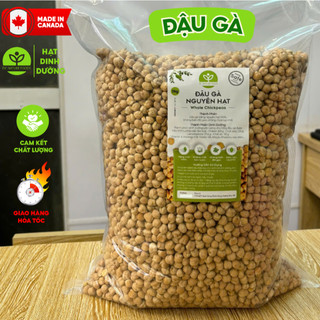 [SỈ 5KG] Đậu Gà Hữu Cơ, Đậu Gà Không biến đổi Gen, Đậu Gà Nhập khẩu Canada, Hàng Date Mới Liên Tục