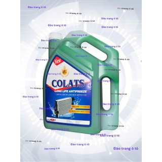 Can nước xanh 5L phổ biến cho két nước xe ô tô nước làm mát xe ô tô tải ben thùng xe khách xe con