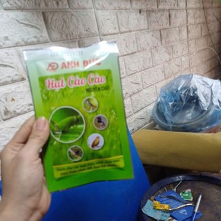 hạt cào cào