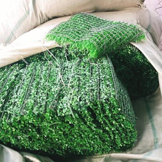 Cỏ Nhựa Treo Tường, 30 Tấm Thảm Cải Xoong Loại Tốt Decor Xanh Mát