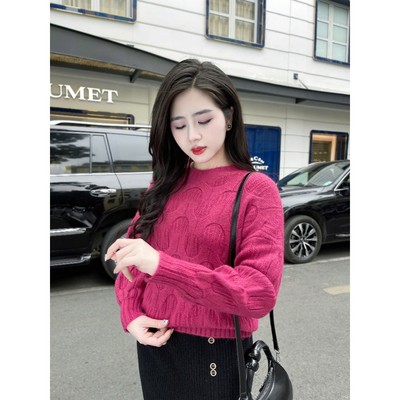 Áo len nữ Evalover mã 602, họa tiết  vặn thừng cổ 5cm chất len dầy dặn co giãn form dáng dễ mặc