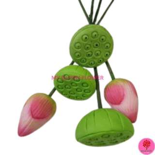 GƯƠNG SEN, ĐÀI SEN NGUYÊN LIỆU LÀM HOA