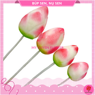 BÚP SEN MẪU MỚI