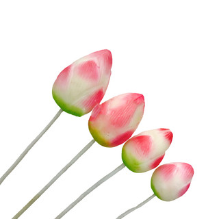 BÚP SEN MẪU MỚI