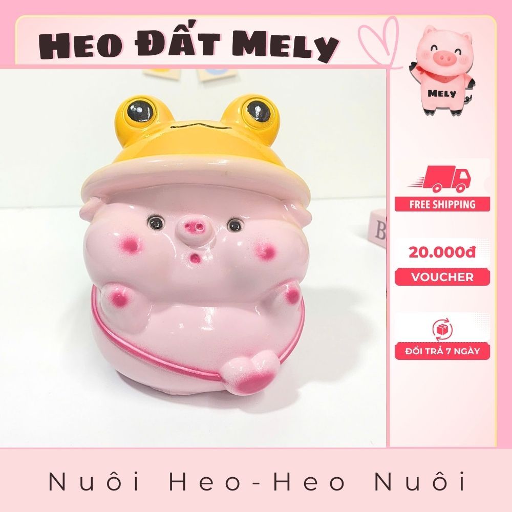 Heo Đất Đội Mũ Ếch, Lợn Đất Đội Mũ Ếch dễ thương, Heo Đất Mely, Ống Tiết Kiệm Mũ Ếch 2 size.