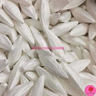 NỤ XỐP HOA LY. NỤ HOA LILY