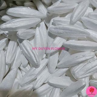 NỤ XỐP HOA LY. NỤ HOA LILY