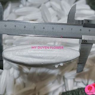 NỤ XỐP HOA LY. NỤ HOA LILY