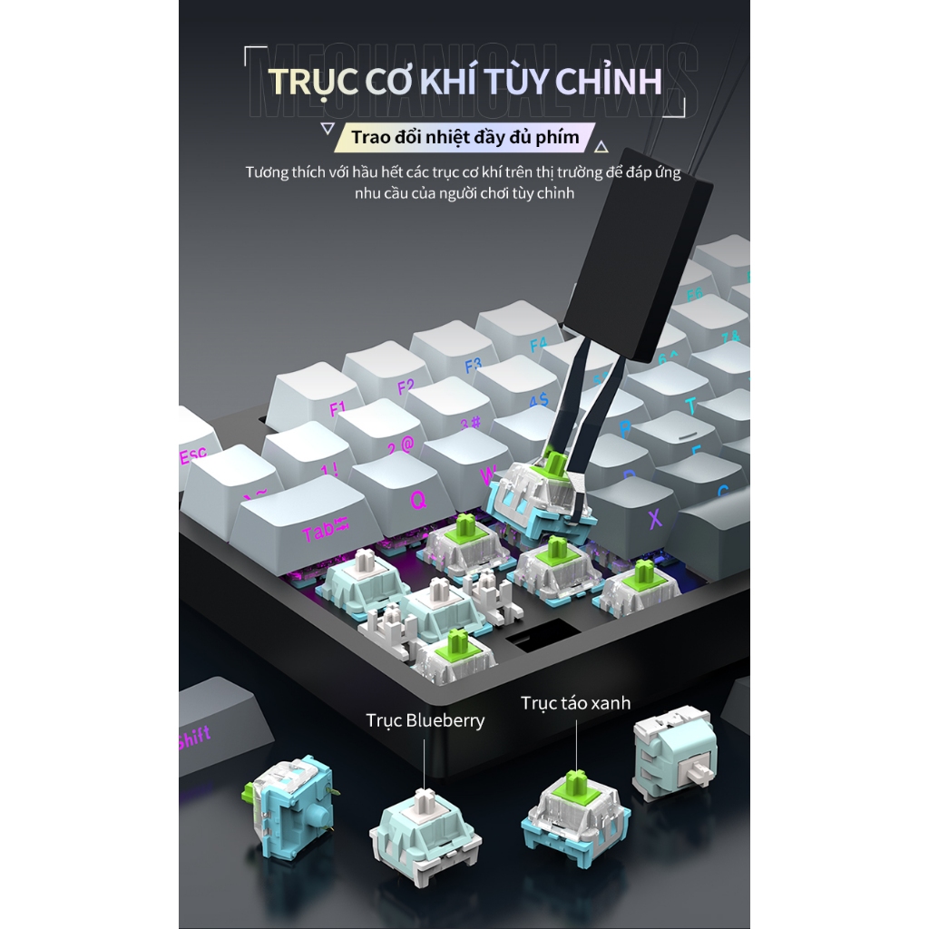 Bàn phím cơ không dây Leaven K88 - 3 mode kết nối - Led RGB - Full foam - Hỗ trợ app tùy chỉnh | BigBuy360 - bigbuy360.vn