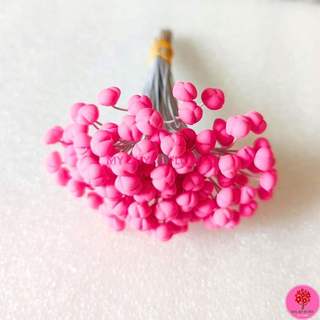NHỤY HOA LY, NHỤY CÁI NHỤY GIỮA HOA LILY