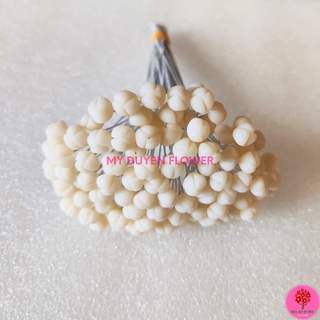 NHỤY HOA LY, NHỤY CÁI NHỤY GIỮA HOA LILY