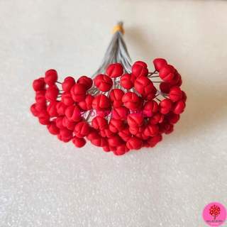 NHỤY HOA LY, NHỤY CÁI NHỤY GIỮA HOA LILY