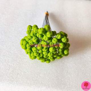 NHỤY HOA LY, NHỤY CÁI NHỤY GIỮA HOA LILY