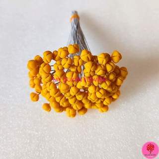 NHỤY HOA LY, NHỤY CÁI NHỤY GIỮA HOA LILY
