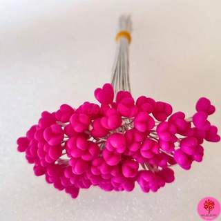 NHỤY HOA LY, NHỤY CÁI NHỤY GIỮA HOA LILY