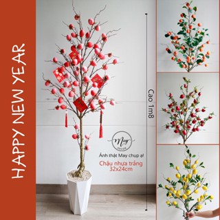 Cây giả, Chậu cây giả trưng tết 2025