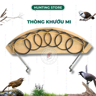 Thòng chim khướu, họa mi, hàng loại 1 - huntingstore