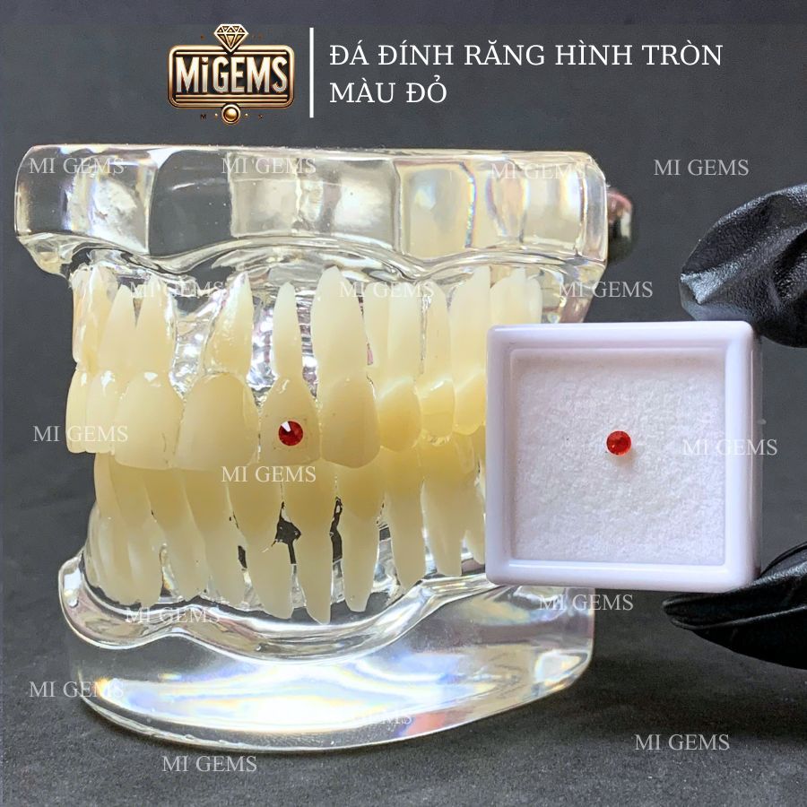 [Tặng keo bút] Đá đính răng tròn phong thủy đủ màu đính răng, gems đính răng Mi Gems