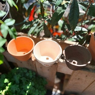 COMBO 5 Chậu Đất Nung Lùn 10 x 7 cm