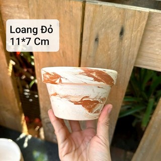 COMBO 5 Chậu Đất Nung Lùn 10 x 7 cm