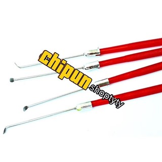 Bịch Ráy Tai 10 Cây (Có Đỏ và Gỗ)