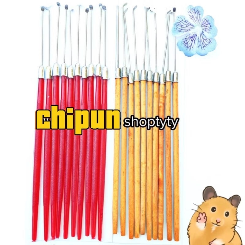 Bịch Ráy Tai 10 Cây (Có Đỏ và Gỗ)