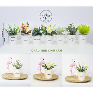Cây giả, chậu cây mini xinh xắn chậu giấy