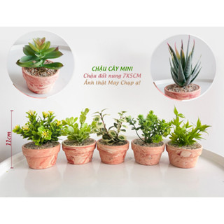 Cây giả, Chậu cây giả mini trang trí