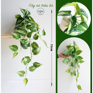 Cây giả Chậu cây Rũ  dây leo Trầu Bà cao cấp 45-60cm 