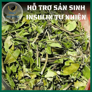 Dây Thìa Canh 1kg | Loại 1 - Hỗ Trợ Tốt Cho Người Tiểu Đường, Kiểm Soát Đường Huyết, Giảm Mỡ Máu