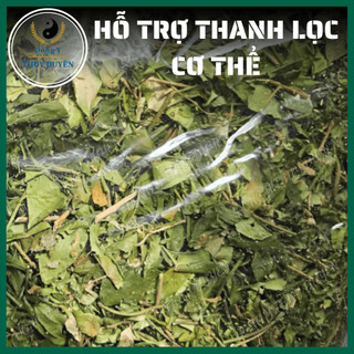 Dây Thìa Canh 1kg | Loại 1 - Hỗ Trợ Tốt Cho Người Tiểu Đường, Kiểm Soát Đường Huyết, Giảm Mỡ Máu