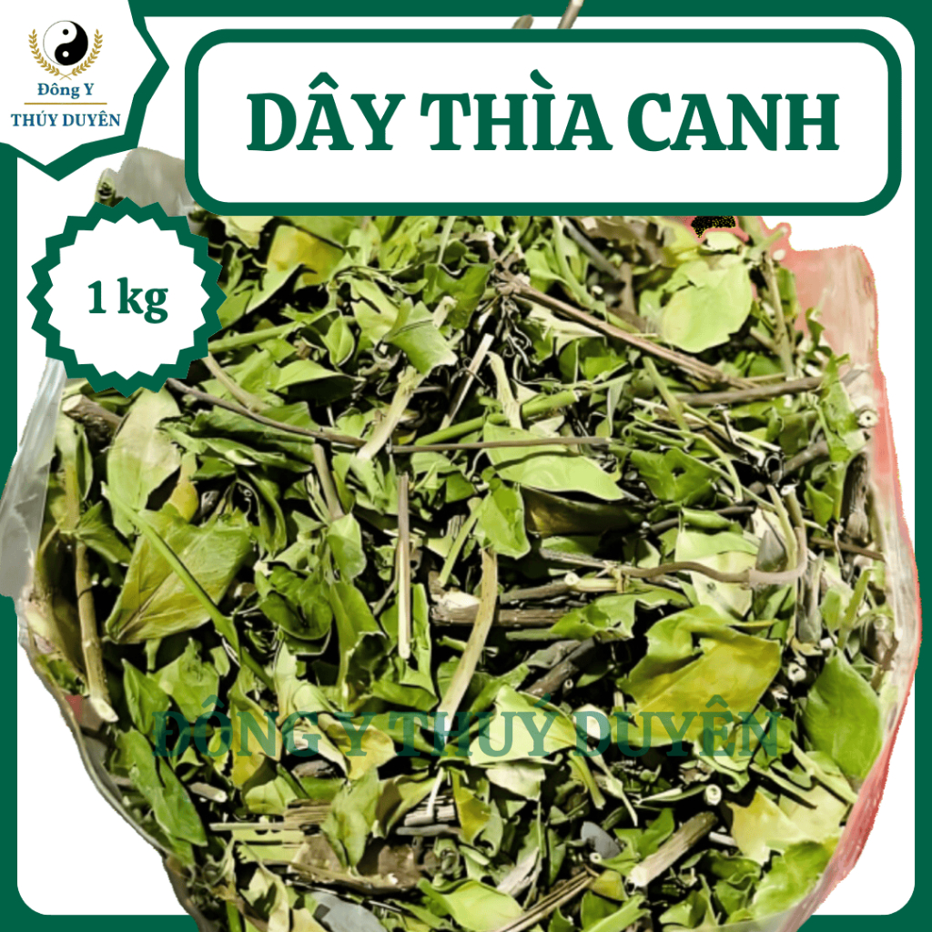 Dây Thìa Canh 1kg | Loại 1 - Hỗ Trợ Tốt Cho Người Tiểu Đường, Kiểm Soát Đường Huyết, Giảm Mỡ Máu