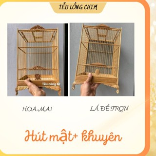 Khung lồng chim tự ráp hút mật và khuyên