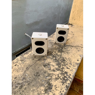 TWS cặp loa không dây
