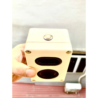 TWS cặp loa không dây