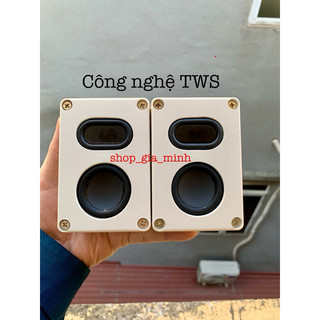 TWS cặp loa không dây