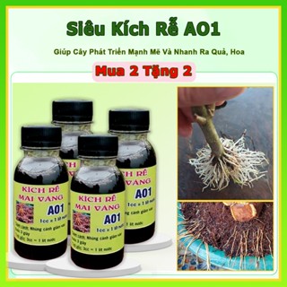 Mua 2 Tặng 2 Kích rễ mai vàng AO1, Phân bón kích rễ cho cây trồng và giâm chiết cành