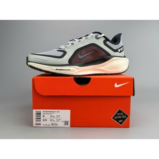  Giày Chạy Bộ Nike Air Zoom Pegasus 41 GORE-TEX 