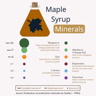 🇨🇦 Maple Syrup 100ml ✦ Vegan 🌱 Organic