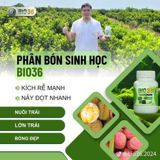 Phân Bón Sinh Học Bio36 Siêu Kích Rễ - Siêu Đi Đọt – Xanh Cây – Dày Lá – Cải Tạo Đất Bio36 Chính Hãng