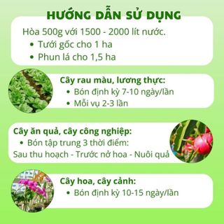 Phân Bón Sinh Học Bio36 Siêu Kích Rễ - Siêu Đi Đọt – Xanh Cây – Dày Lá – Cải Tạo Đất Bio36 Chính Hãng